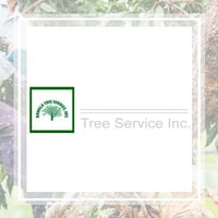 10 Best Tree Care Services In Falls Church Va Tree Trimming