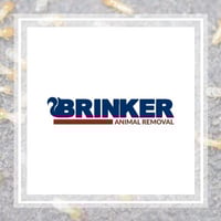 The 12 Best Pest Control Companies In Dallas Tx