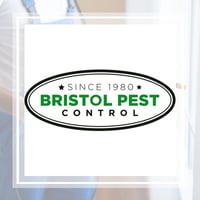 Bristol Ct Pest Control Exterminators Best 2021