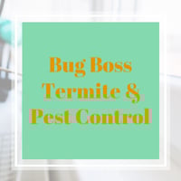 11 Best Pest Control Companies In Jersey City Nj Exterminators