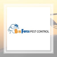 9 Best Pest Control Companies In Sun City Ca
