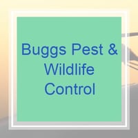 10 Best Pest Control Services In Kansas City Mo Exterminators