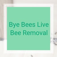 20 Best Pest Control Services In El Paso Tx Exterminators