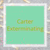 17 Best Pest Control Services In Cleveland Oh Exterminators