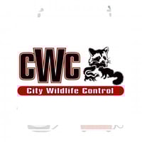 Malden, MA Pest Control | Exterminators | Best 2021