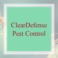 11 Best Pest Control Companies In Chattanooga Tn Exterminators