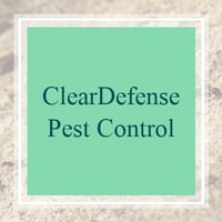 11 Best Pest Control Companies in High Point, NC ...