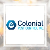 11 Best Pest Control Companies In Worcester Ma Exterminators