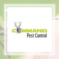 11 Best Pest Control Companies In Little Rock Ar Exterminators
