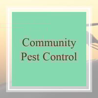11 Best Pest Control Companies In Pasadena Ca Exterminators