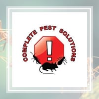10 Best Pest Control Services In Silver Spring Md Exterminators