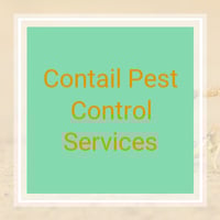 6 Best Pest Control Services In Plano Tx 2021 Trimming Removal More