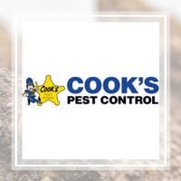 11 Best Pest Control Companies In Knoxville Tn Exterminators