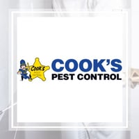 11 Best Pest Control Companies In Chattanooga Tn Exterminators