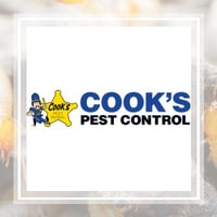 10 Best Pest Control Services In Forest Park Ga Exterminators