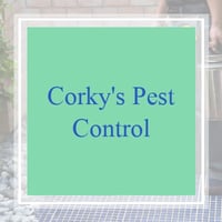 11 Best Pest Control Companies In Torrance Ca Exterminators