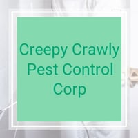 53 Best Pest Control Services in Miami, FL | Exterminators