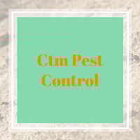 11 Best Pest Control Companies In Lake Havasu City Az Exterminators