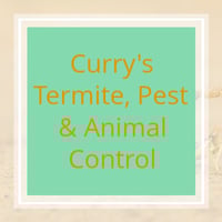 11 Best Pest Control Companies In Little Rock Ar Exterminators