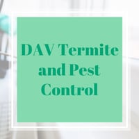 11 Best Pest Control Companies In National City Ca Exterminators