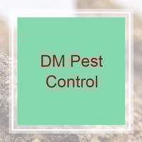 11 Best Pest Control Companies In Chino Hills Ca Exterminators