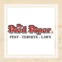10 Best Pest Control Services In Duncanville Tx Exterminators The pied piper provides convenient scheduling options, including evenings and weekends, to provide property inspections. 10 best pest control services in