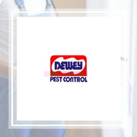 11 Best Pest Control Companies In Perris Ca Exterminators