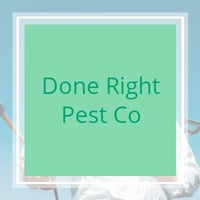 10 Best Pest Control Services In San Antonio Tx Exterminators