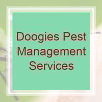 10 Best Pest Control Services In Cincinnati Oh Exterminators