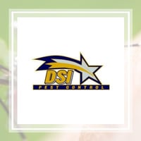 11 Best Pest Control Companies In Stuart Fl Exterminators