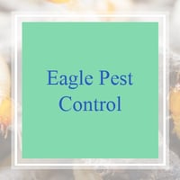 10 Best Pest Control Services In Winter Park Fl Exterminators
