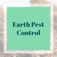 10 Best Pest Control Services In San Antonio Tx Exterminators Pied piper pest control and termite protection is owned and operated in cherokee county. 10 best pest control services in san