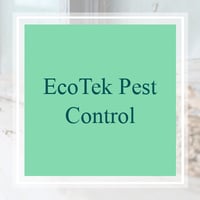 11 Best Pest Control Companies In Spokane Wa Exterminators