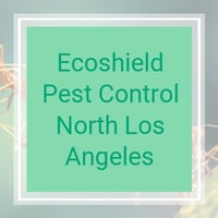 11 Best Pest Control Companies In Chatsworth Ca Exterminators