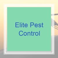 20 Best Pest Control Services In Philadelphia Pa Exterminators