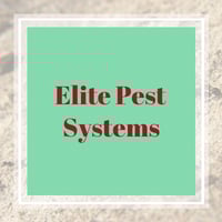 10 Best Pest Control Services In Longwood Fl Exterminators