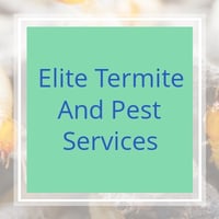 11 Best Pest Control Companies in Debary, FL | Exterminators