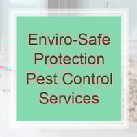 11 Best Pest Control Companies In Palm Beach Gardens Fl Exterminators