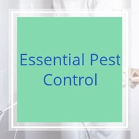 10 Best Pest Control Companies In Green Valley Az