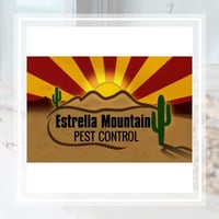 10 Best Pest Control Services In Goodyear Az Exterminators