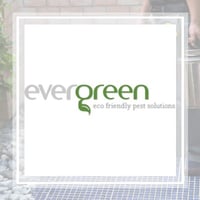 11 Best Pest Control Companies In Brentwood Tn Exterminators