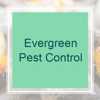 11 Best Pest Control Companies In Lehi Ut Exterminators