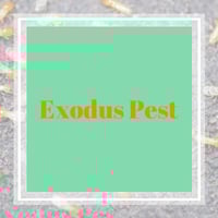 11 Best Pest Control Companies In Oregon City Or Exterminators