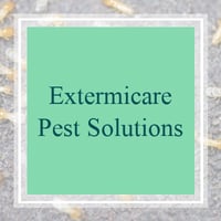 21 Best Pest Control Services In Cape Coral Fl Exterminators
