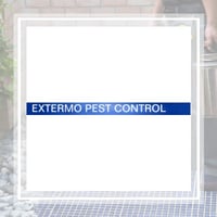 10 Best Pest Control Services In Tempe Az Exterminators
