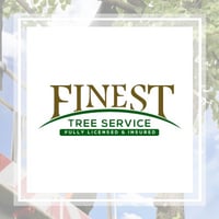 40 Best Tree Care Services In Tucson Az Tree Trimming