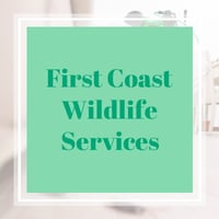 11 Best Pest Control Companies in Bunnell, FL | Exterminators