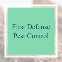 10 Best Pest Control Services In Richmond Tx Exterminators