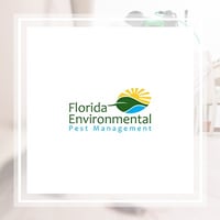 40 Best Pest Control Services In West Palm Beach Fl Exterminators