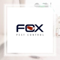 11 Best Pest Control Companies In Lexington Ky Exterminators